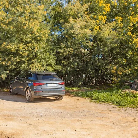 Διαμέρισμα 2 Σαιντ-Μαξίμ